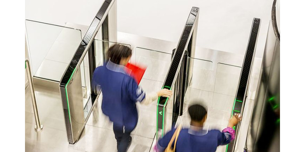 main_lifeline_swing_5